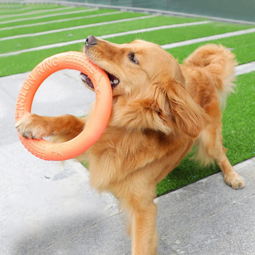 Orange Dog Flying Ring – Durable EVA Puller Toy for Training & Play