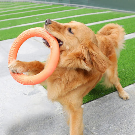 Orange Dog Flying Ring – Durable EVA Puller Toy for Training & Play