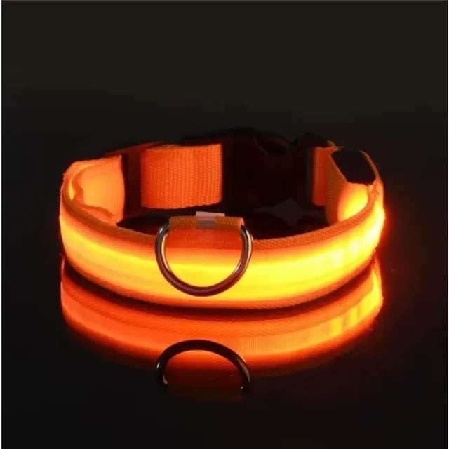LED Nylon Dog Leash & Collar – Glow-in-the-Dark Safety for Night Walks