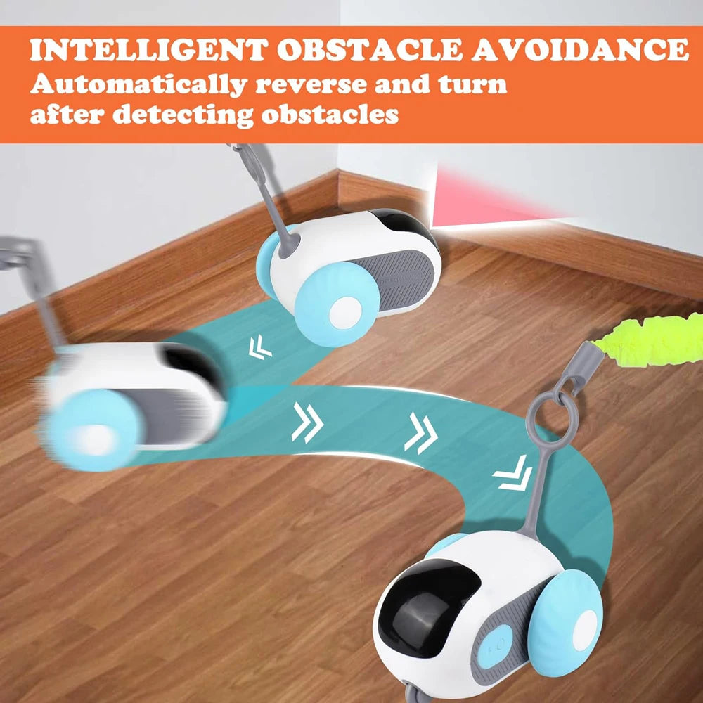 cat toy