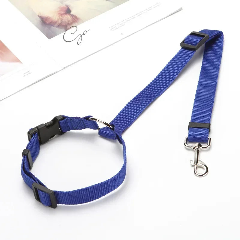 pet seat belt