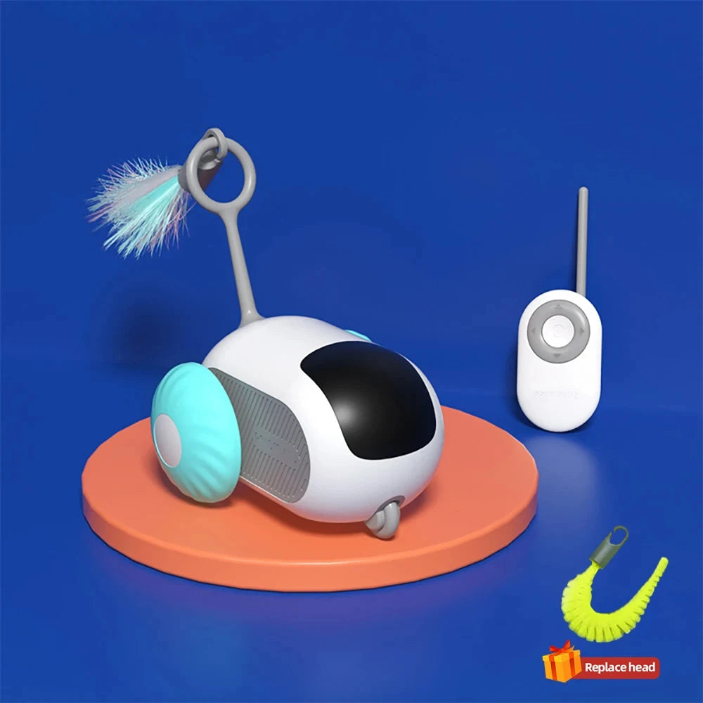 cat toy