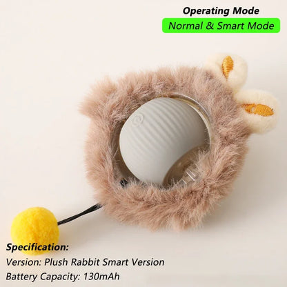 cat toy