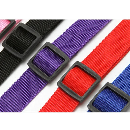 pet seat belt