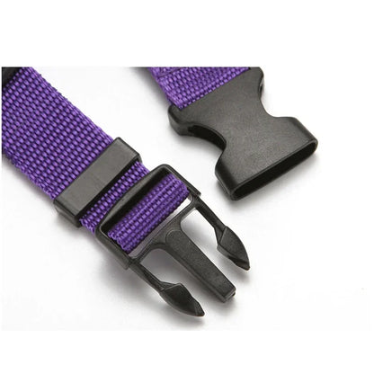 pet seat belt