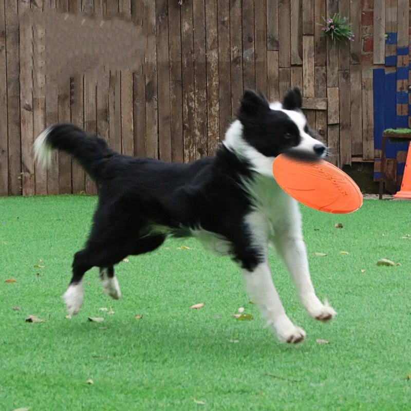 Interactive Flying Disc Dog Toy – Silicone Chew-Resistant Pet Frisbee