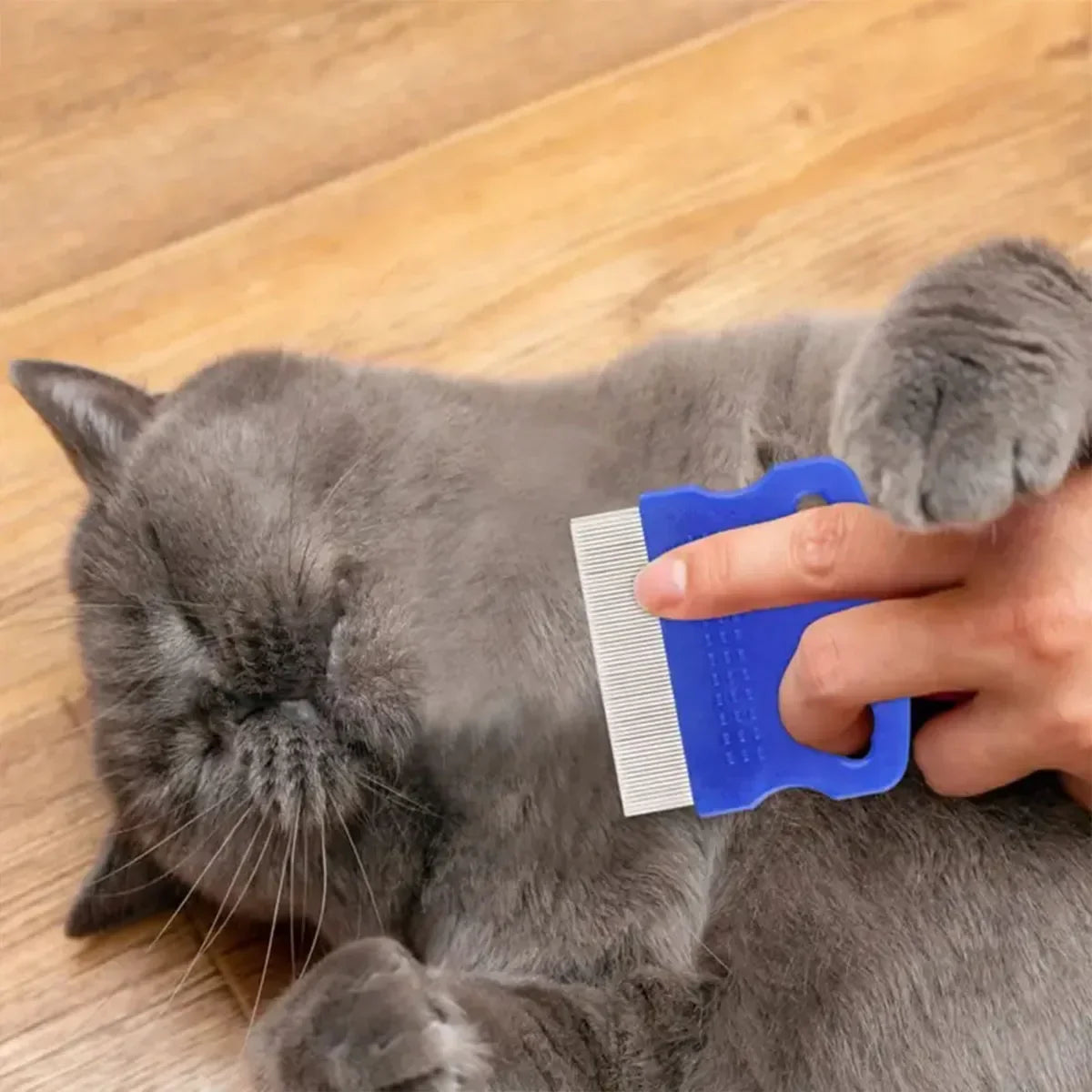 6-Piece Pet Flea Comb Set – Stainless Steel Grooming Combs for Cats & Dogs