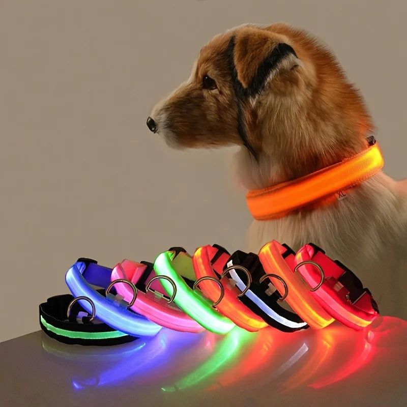 LED Dog Leash – Glow in the Dark Safety Collar