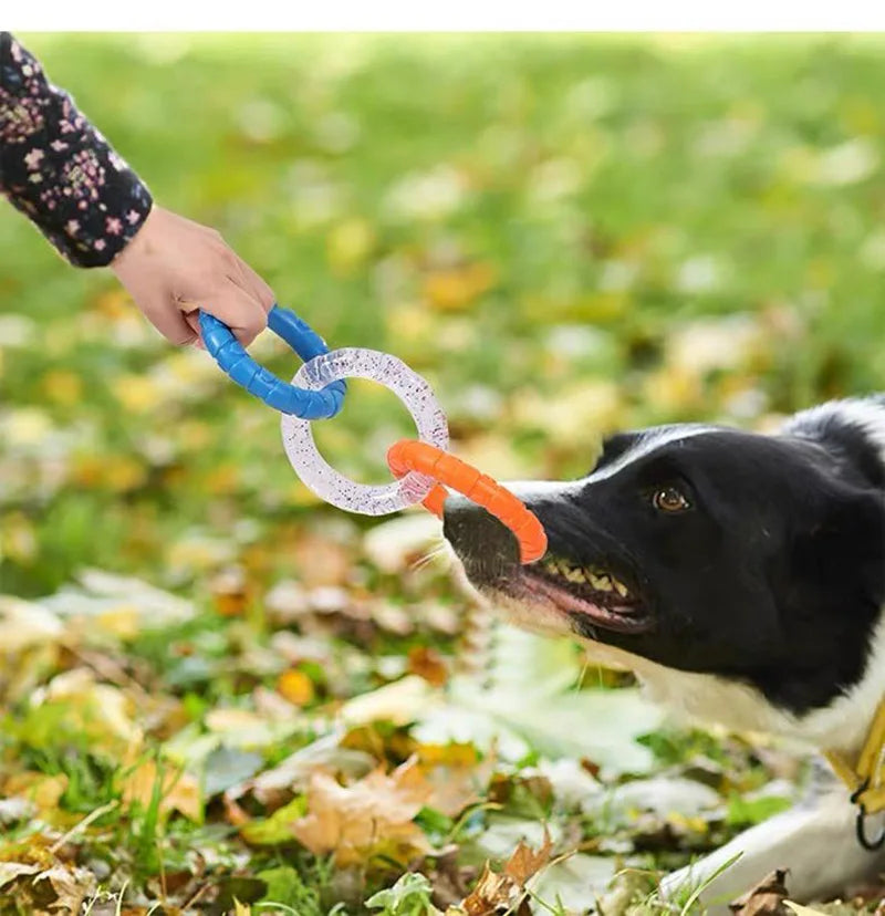 Durable Dog Pull Ring Toy – Bite-Resistant Chew & Training Ring for Active Dogs