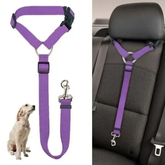 pet seat belt