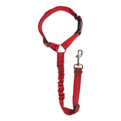 Dog Car Seat Belt & Leash – Adjustable Pet Travel Safety Strap