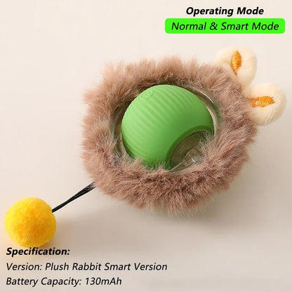 cat toy