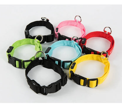 LED Dog Leash – Glow in the Dark Safety Collar