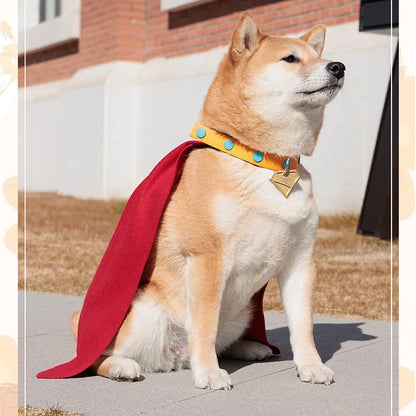 Krypto Superdog Pet Costume – Superhero Cape Outfit for Dogs & Cats