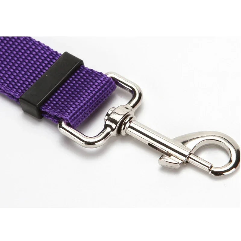 pet seat belt