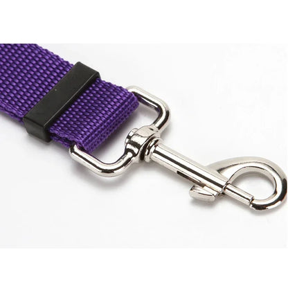 pet seat belt