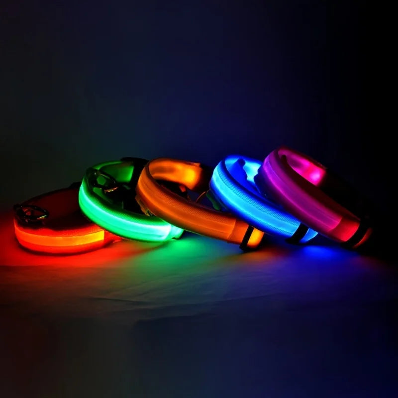 LED Dog Leash – Glow in the Dark Safety Collar