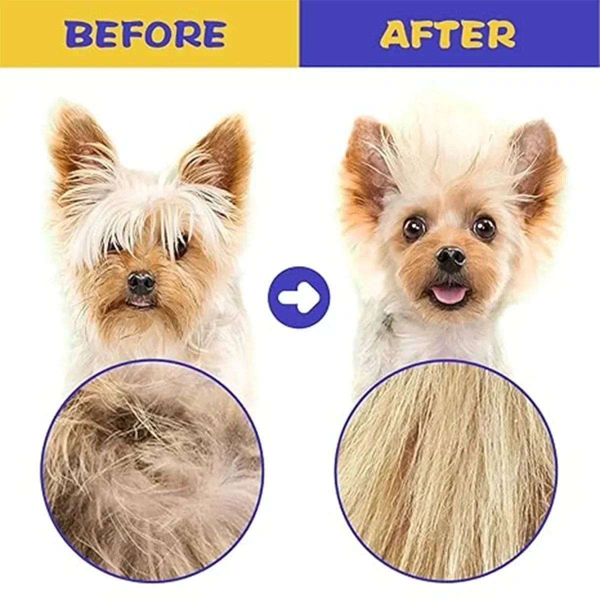 6-Piece Pet Flea Comb Set – Stainless Steel Grooming Combs for Cats & Dogs