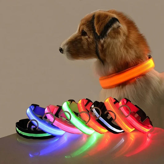 LED Nylon Dog Leash & Collar – Glow-in-the-Dark Safety for Night Walks