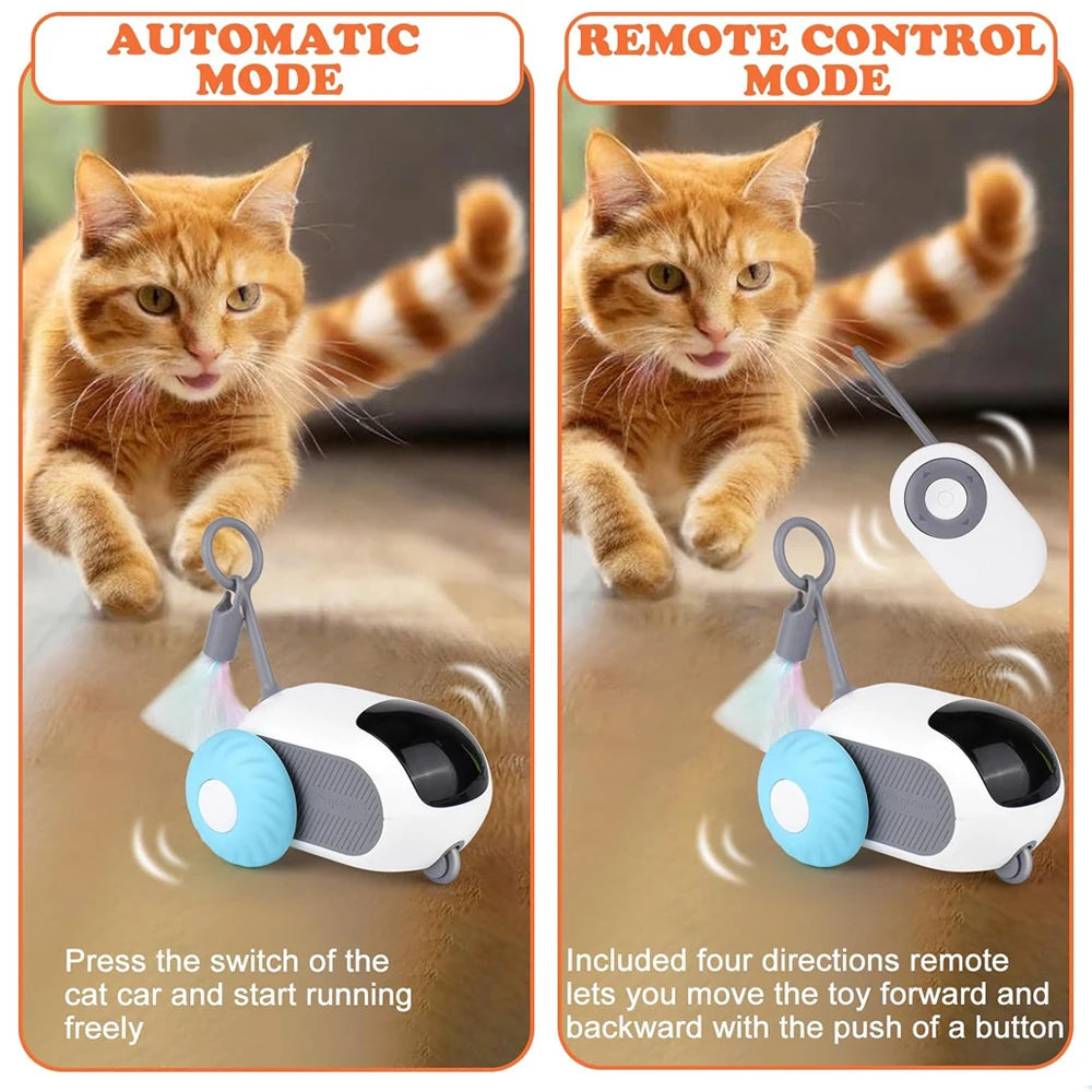 cat toy