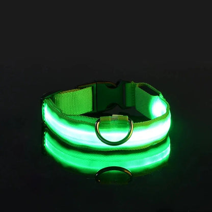LED Nylon Dog Leash & Collar – Glow-in-the-Dark Safety for Night Walks