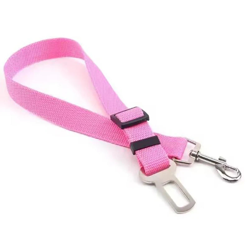 pet seat belt
