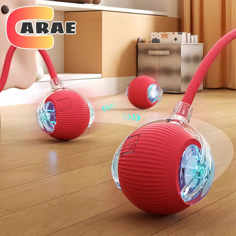 cat toy