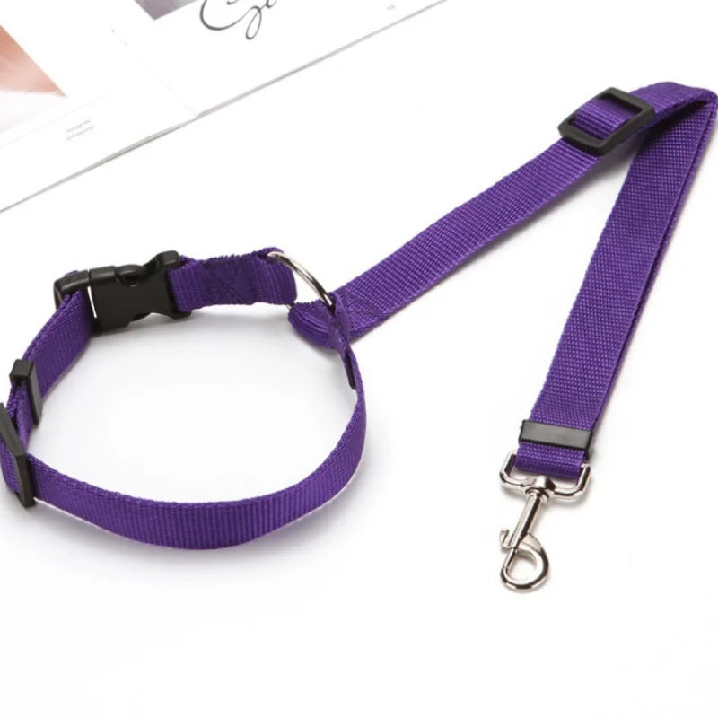 Dog Car Seat Belt & Leash – Adjustable Pet Travel Safety Strap