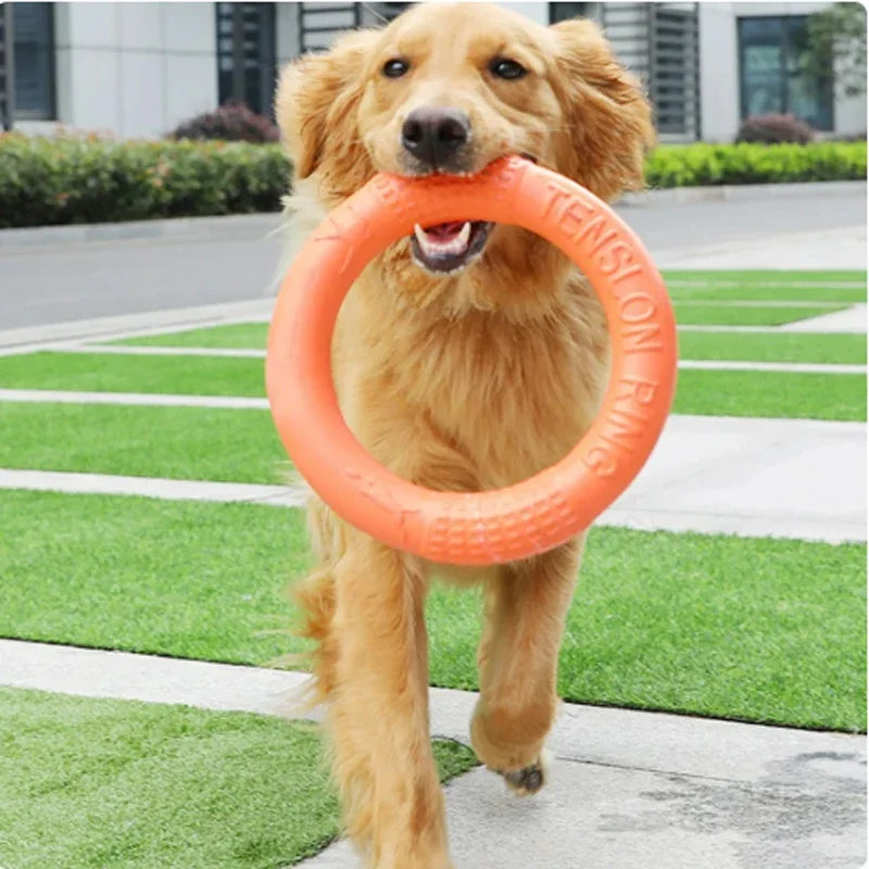 Orange Dog Training Ring – Durable EVA Flying Disk Puller Toy for Interactive Play & Exercise