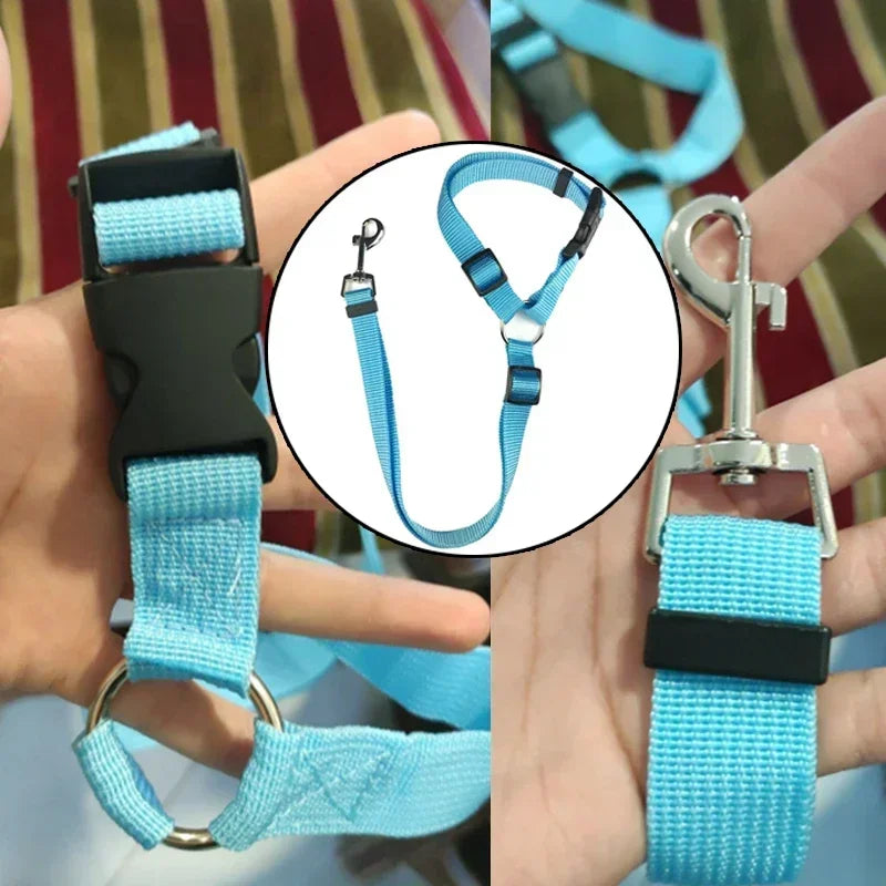 pet seat belt