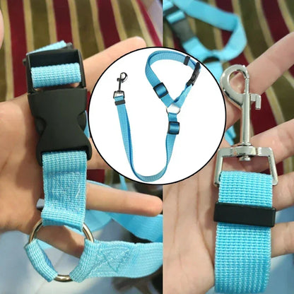pet seat belt