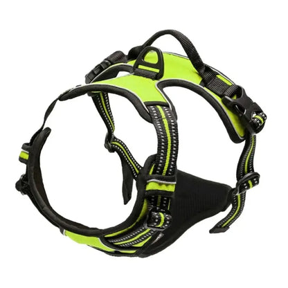 dog harness
