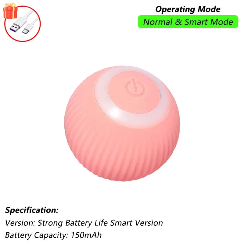 cat toy