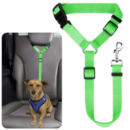 pet seat belt