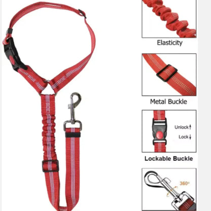 Dog Car Seat Belt & Leash – Adjustable Pet Travel Safety Strap