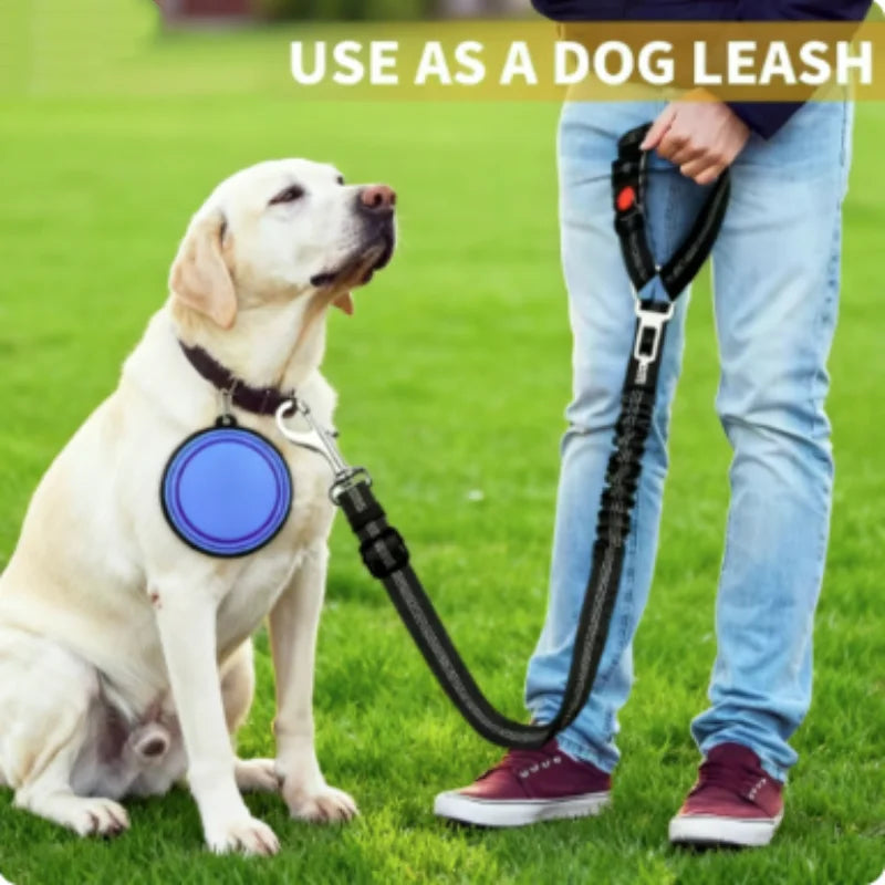 Dog Car Seat Belt & Leash – Adjustable Pet Travel Safety Strap