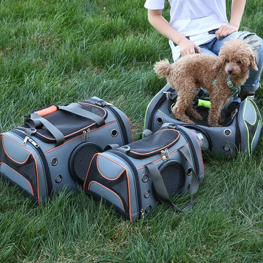 pet carrier