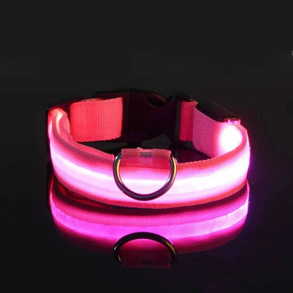 LED Nylon Dog Leash & Collar – Glow-in-the-Dark Safety for Night Walks