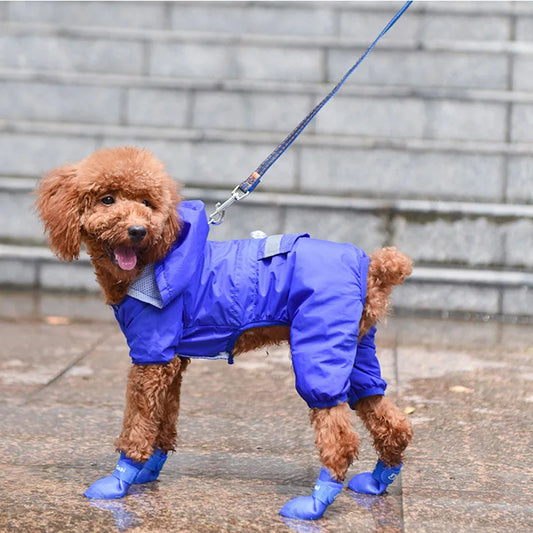 water resistant dog shoes