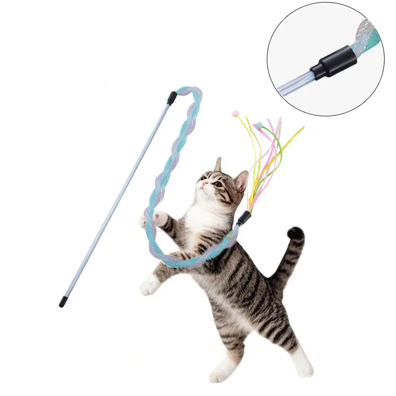 cat toy