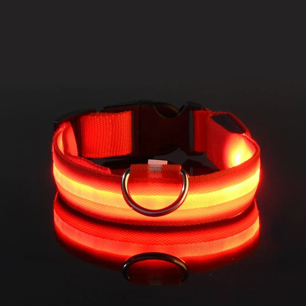 LED Nylon Dog Leash & Collar – Glow-in-the-Dark Safety for Night Walks