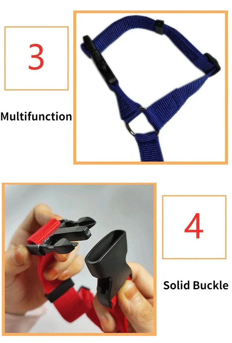 pet seat belt
