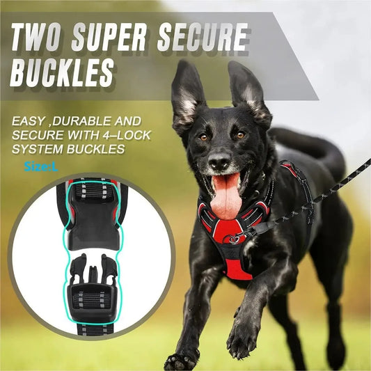 dog harness
