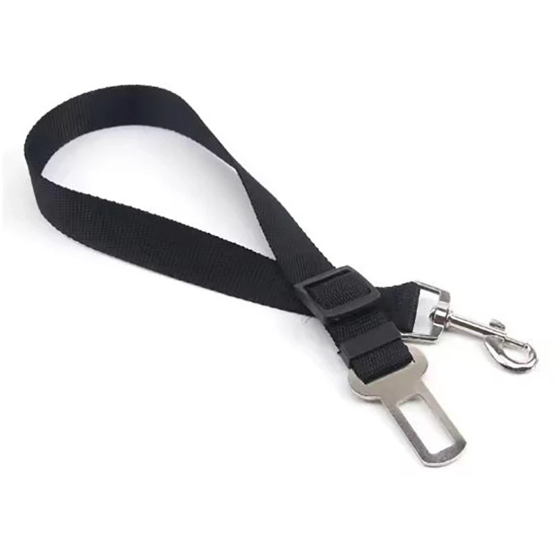 pet seat belt