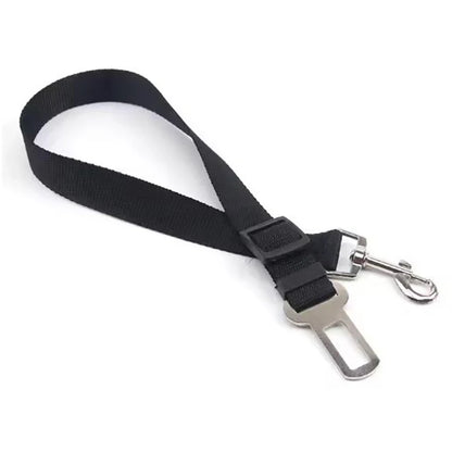 pet seat belt