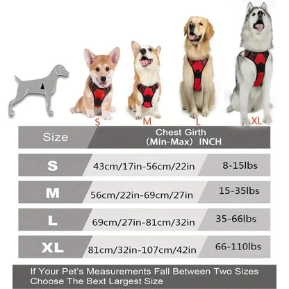 dog harness