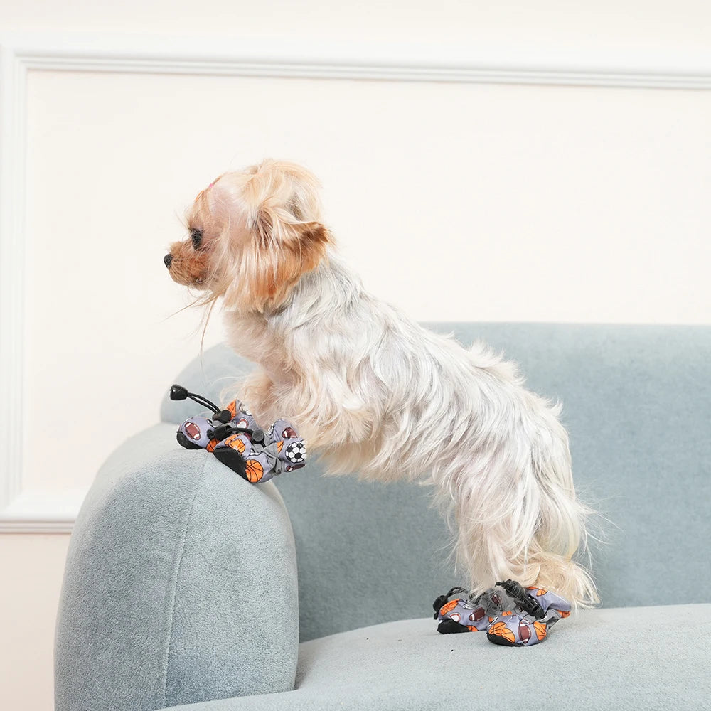 pet shoes