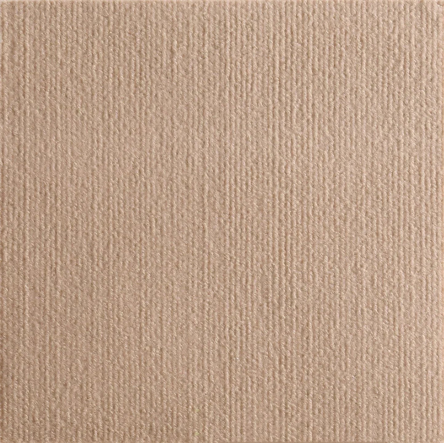 cat scratching pad
