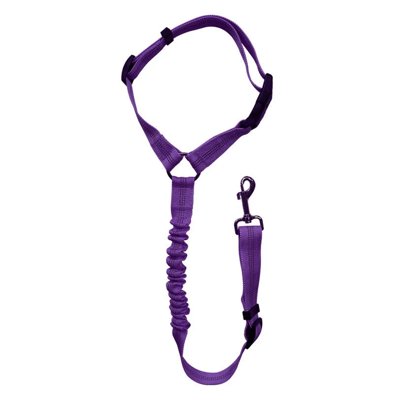 Dog Car Seat Belt & Leash – Adjustable Pet Travel Safety Strap