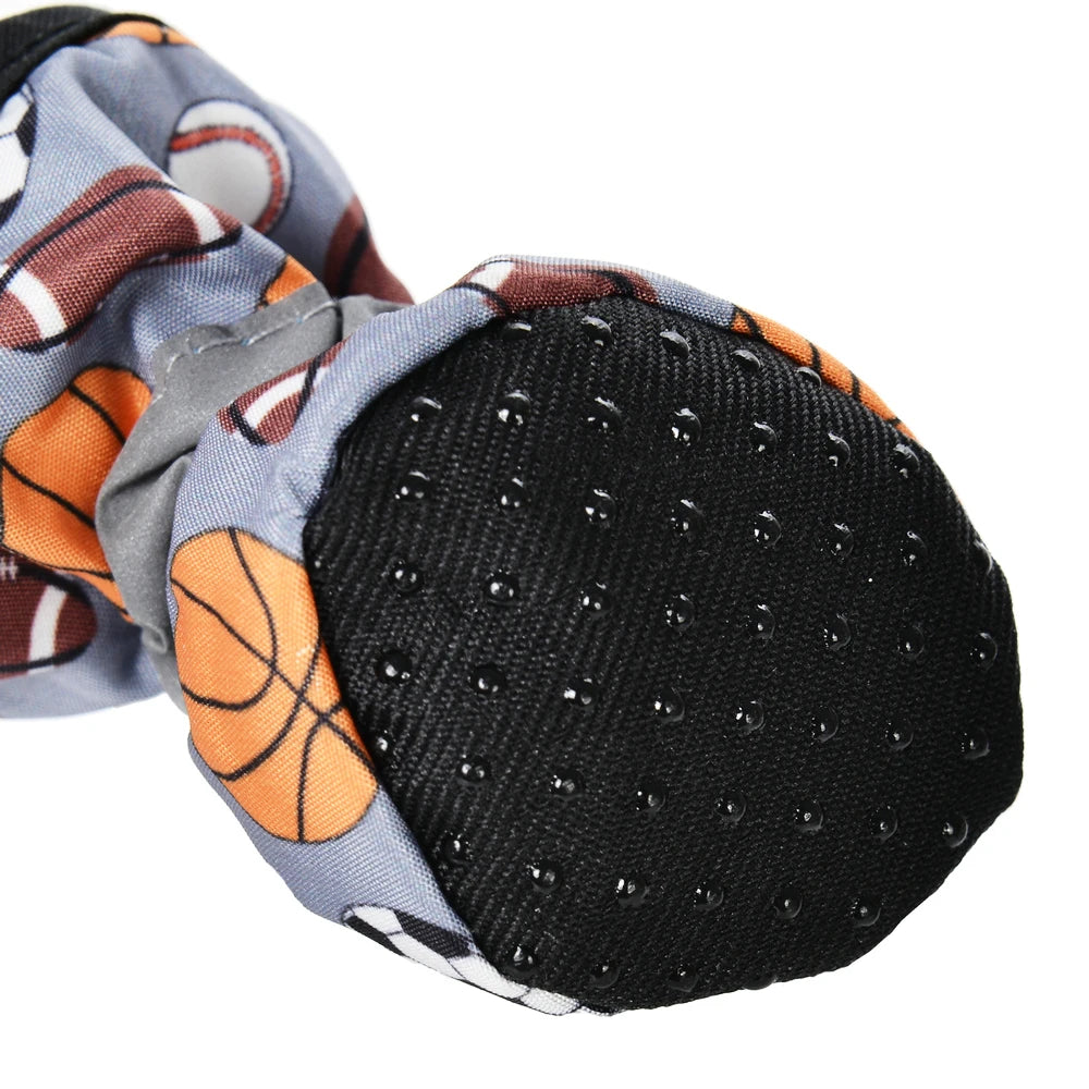 pet shoes